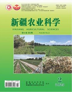 新疆农业科学