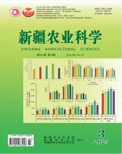 新疆农业科学