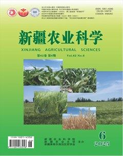 新疆农业科学