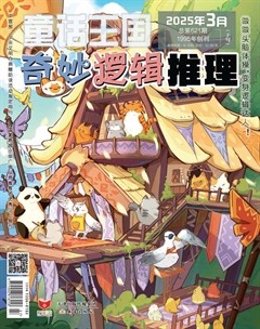 童话王国·奇妙逻辑推理