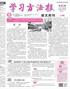 学习方法报·语文八年级
