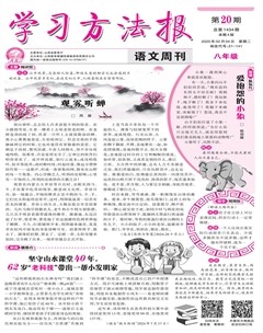 学习方法报·语文八年级