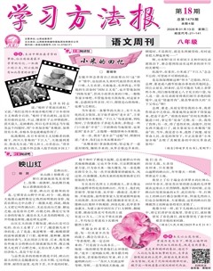 学习方法报·语文八年级