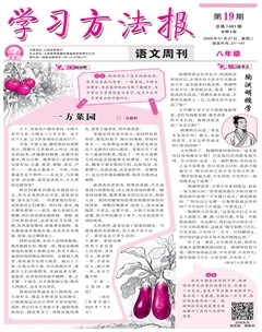 学习方法报·语文八年级