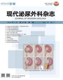 现代泌尿外科杂志