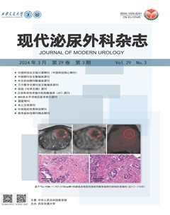 現(xiàn)代泌尿外科雜志