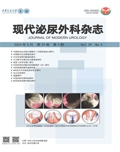 现代泌尿外科杂志