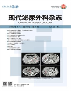 现代泌尿外科杂志