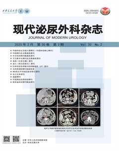 现代泌尿外科杂志
