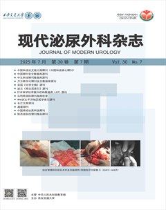 現(xiàn)代泌尿外科雜志