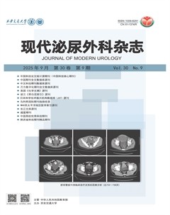现代泌尿外科杂志