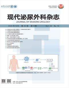 现代泌尿外科杂志