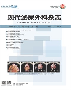 现代泌尿外科杂志