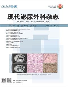 现代泌尿外科杂志