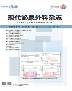现代泌尿外科杂志