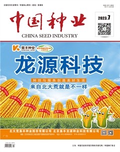 中国种业