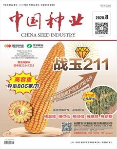 中国种业