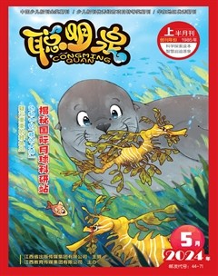 聪明泉·（上半月）
