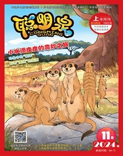 聪明泉·（上半月）