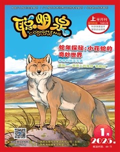 聪明泉·（上半月）