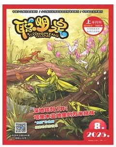 聪明泉·（上半月）