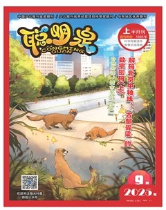 聪明泉·（上半月）