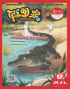 聪明泉·（上半月）