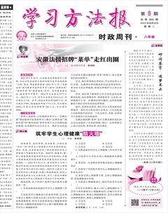 学习方法报·政治八年级