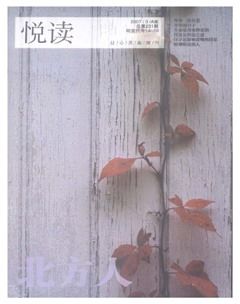 2007年第3期