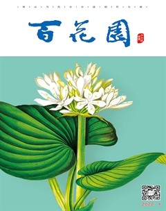 百花园2022年第4期