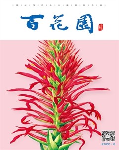 百花园2022年第6期