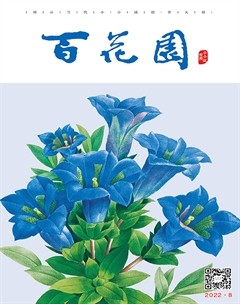 百花园2022年第8期