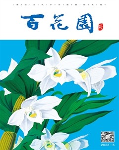 百花园