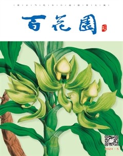 百花园2024年第5期