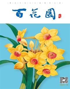 百花园2024年第11期