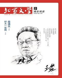 北京文学