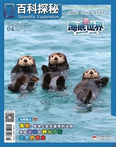 百科探秘·海底世界