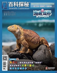 百科探秘·海底世界