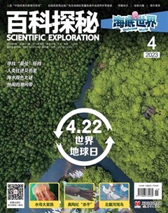 百科探秘·海底世界