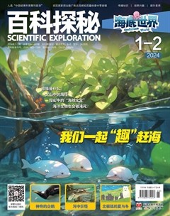 百科探秘·海底世界