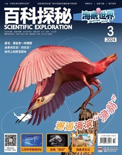 百科探秘·海底世界