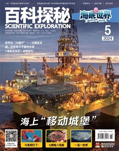 百科探秘·海底世界