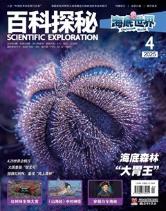 百科探秘·海底世界