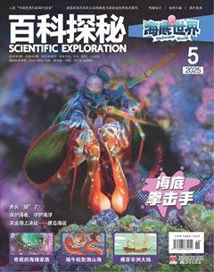 百科探秘·海底世界