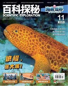 百科探秘·海底世界