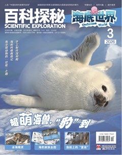 百科探秘·海底世界