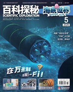 百科探秘·海底世界
