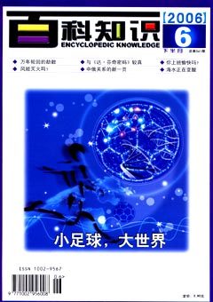 2006年第12期
