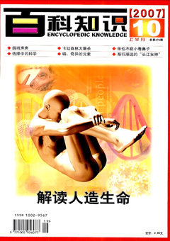 2007年第19期