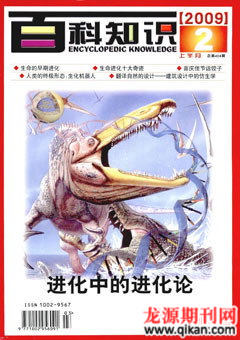2009年第3期